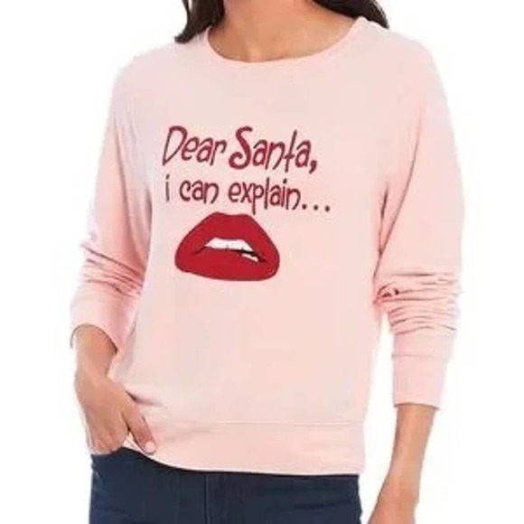 Wildfox Tops - NWT WILDFOX $88 Dear Santa I Can Explain Baggy Beach Jumper style in Pink Size S